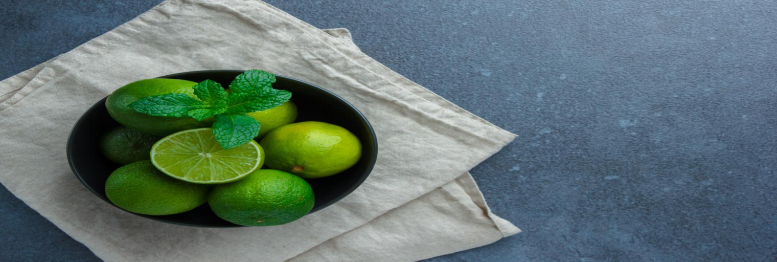 來自檸檬的故鄉-檸檬冰磚 天然果汁 冷凍飲品原料